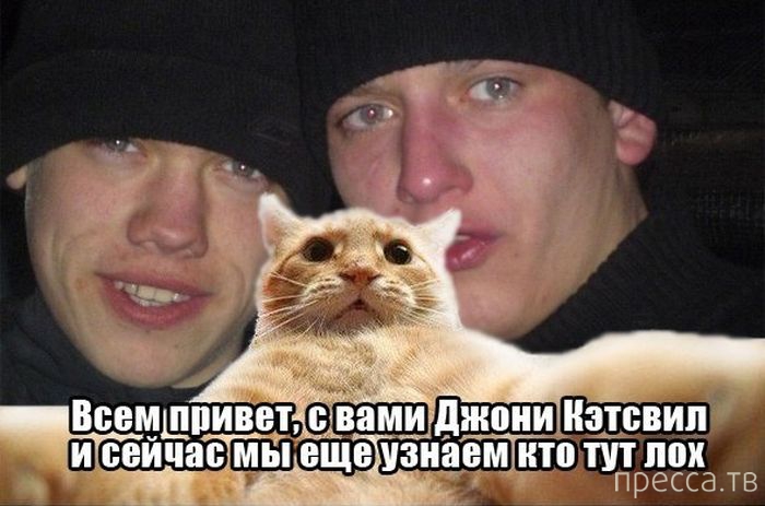 ������ �������� - ����� ���������� ��������-��� (42 ����)