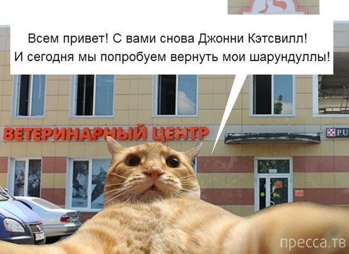 ������ �������� - ����� ���������� ��������-��� (42 ����)