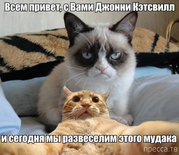 ������ �������� - ����� ���������� ��������-��� (42 ����)