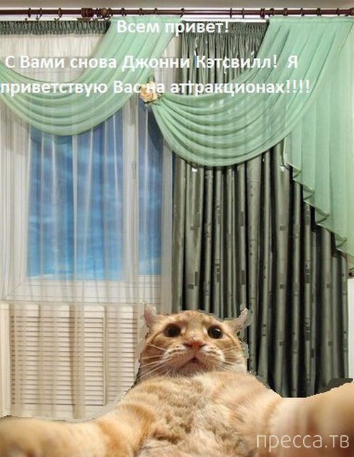 ������ �������� - ����� ���������� ��������-��� (42 ����)