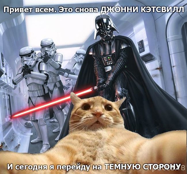 ������ �������� - ����� ���������� ��������-��� (42 ����)