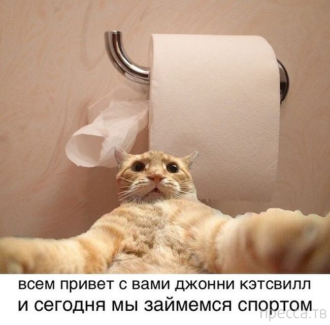 ������ �������� - ����� ���������� ��������-��� (42 ����)