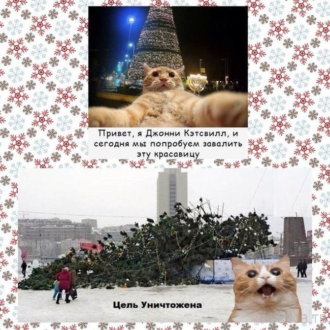 ������ �������� - ����� ���������� ��������-��� (42 ����)