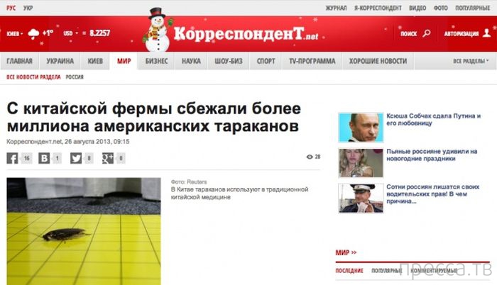 �������� � ������� ��������� ����� (33 ����)