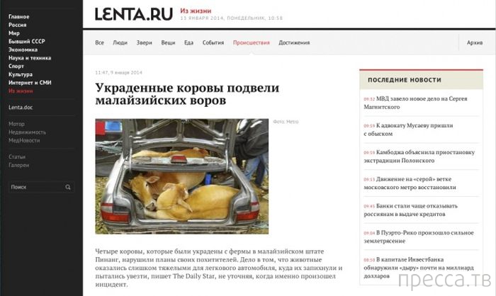 �������� � ������� ��������� ����� (33 ����)