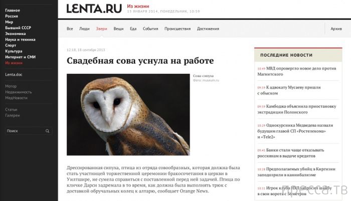 �������� � ������� ��������� ����� (33 ����)