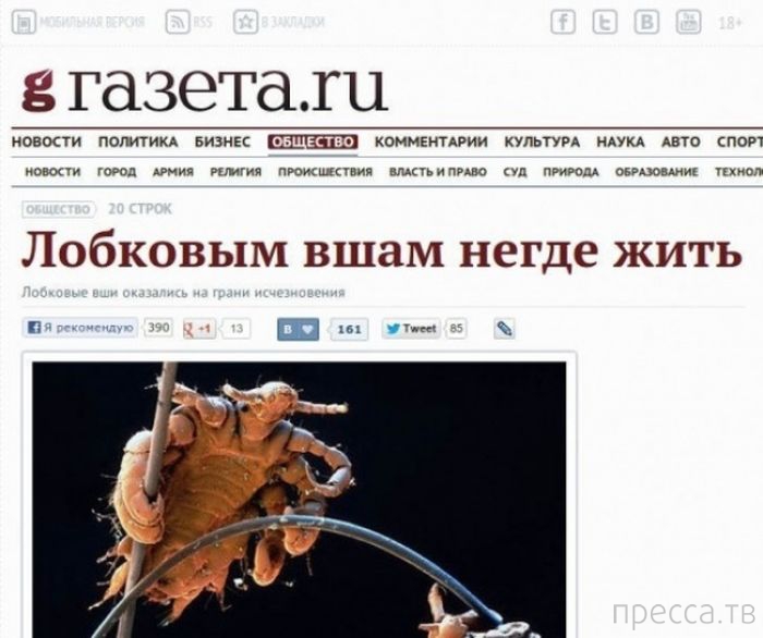 �������� � ������� ��������� ����� (33 ����)