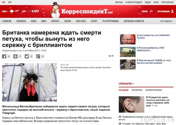 �������� � ������� ��������� ����� (33 ����)