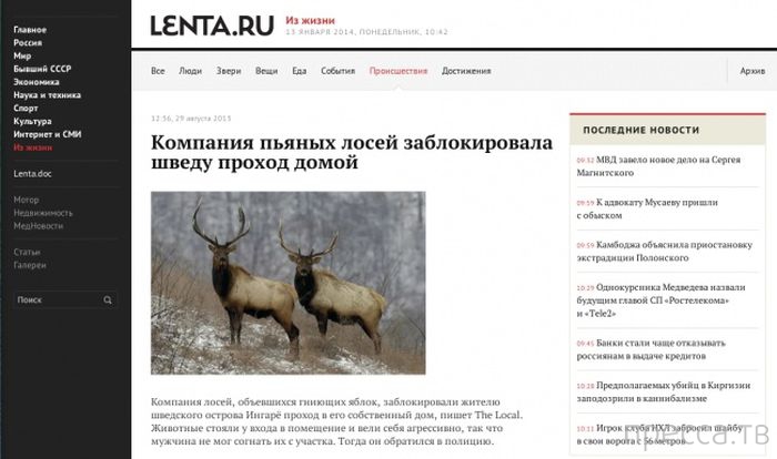 �������� � ������� ��������� ����� (33 ����)