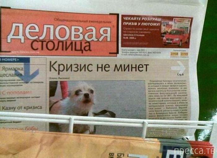 �������� � ������� ��������� ����� (33 ����)