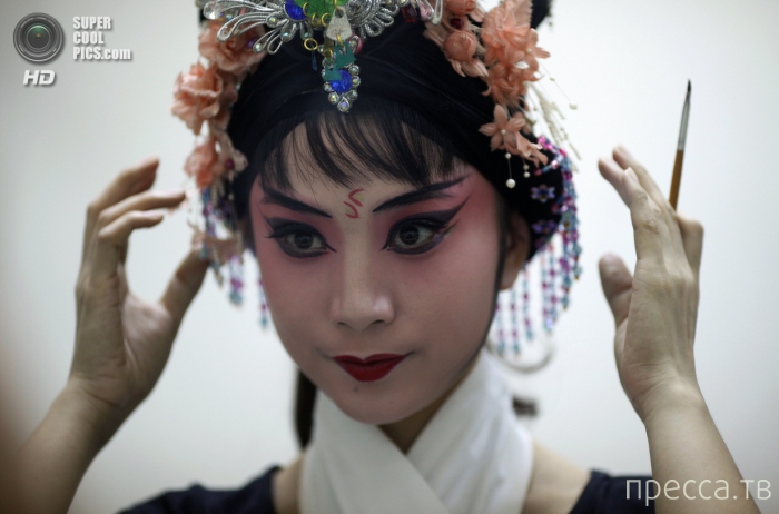 �������� ���������� ������ ���� (14 ����)