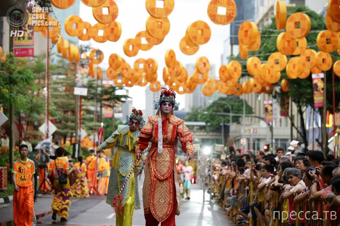 �������� ���������� ������ ���� (14 ����)