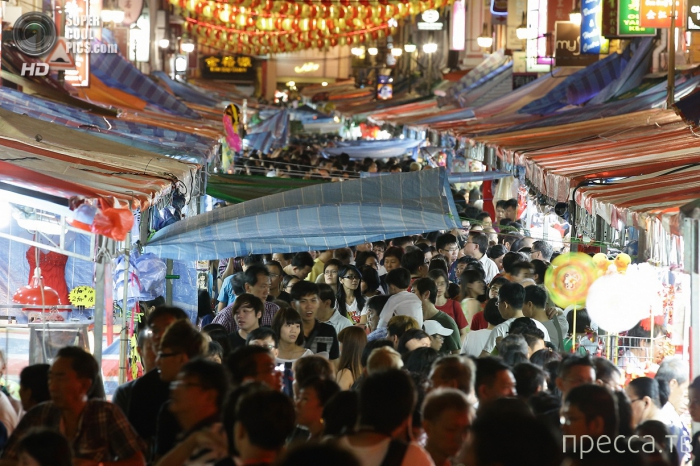 �������� ���������� ������ ���� (14 ����)