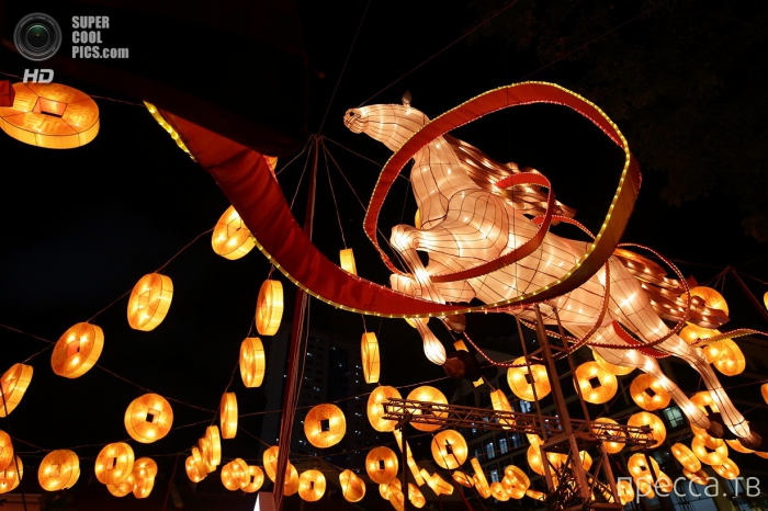 �������� ���������� ������ ���� (14 ����)