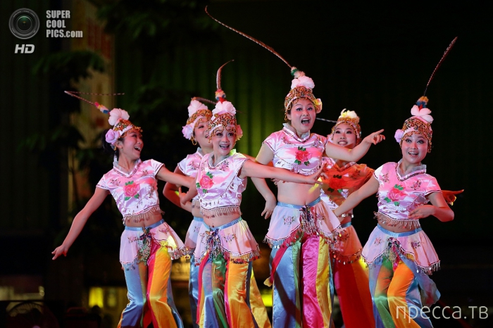 �������� ���������� ������ ���� (14 ����)