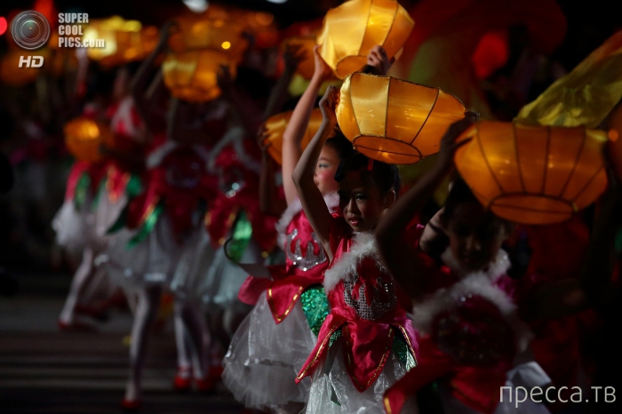 �������� ���������� ������ ���� (14 ����)