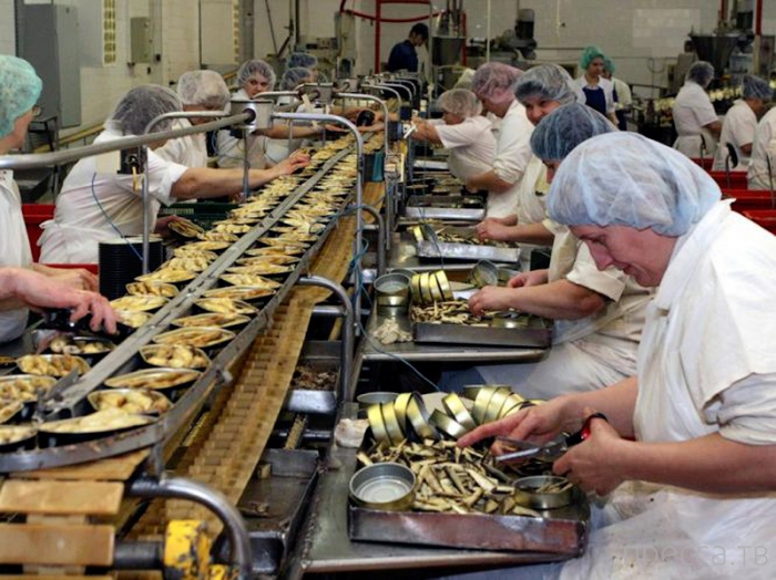 ��� ����� ���������� � ������� (15 ����)