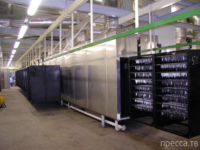 ��� ����� ���������� � ������� (15 ����)