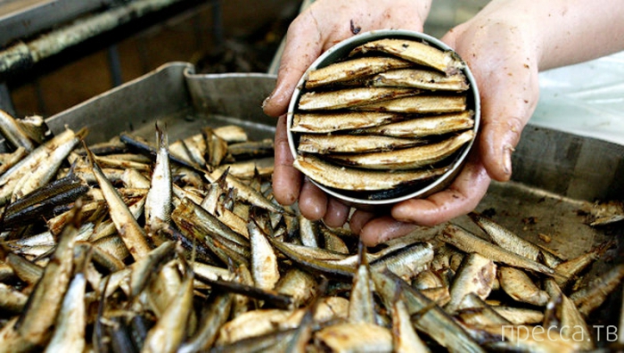 ��� ����� ���������� � ������� (15 ����)