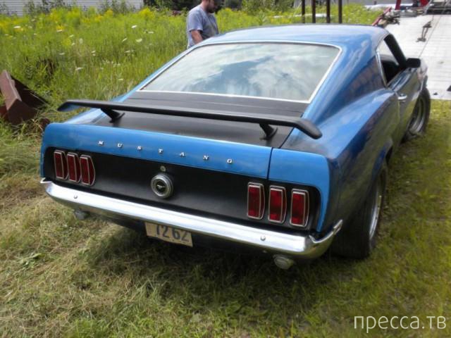     Ford Mustang Boss 302 (14 )