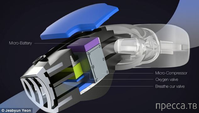 � ����� ������� ����� ��������-������� (4 ����)