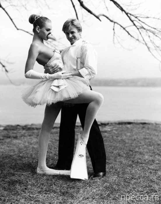 ������� ����������� ����������� 66 ��� (14 ����)