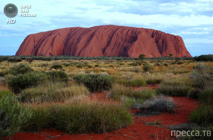   (Uluru)  - (Ayers Rock) -     (12 )