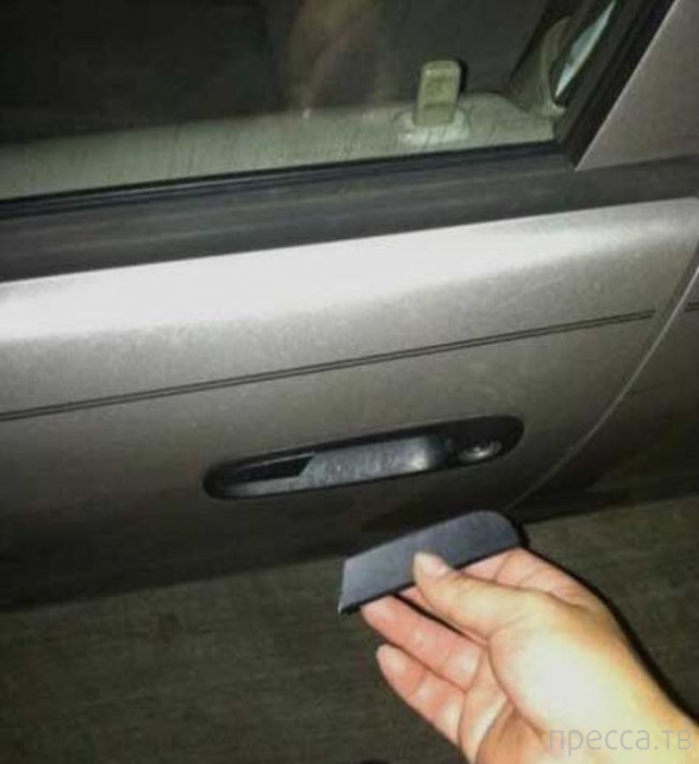 ���������� ����������: �� �������! (13 ����)