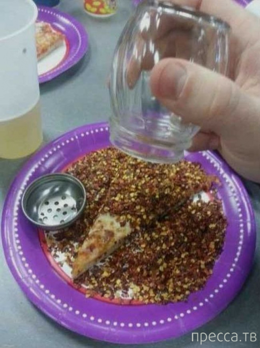 ���������� ����������: �� �������! (13 ����)