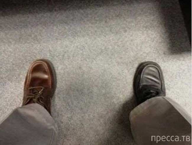 ���������� ����������: �� �������! (13 ����)