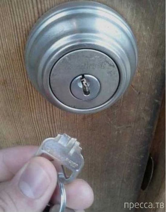 ���������� ����������: �� �������! (13 ����)