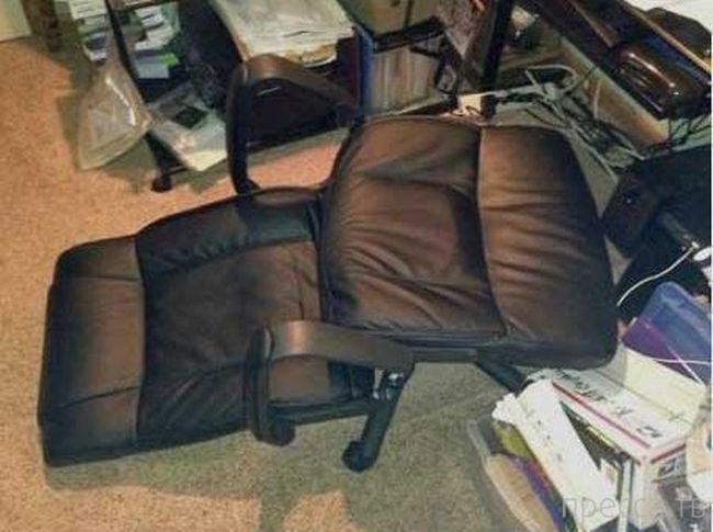 ���������� ����������: �� �������! (13 ����)