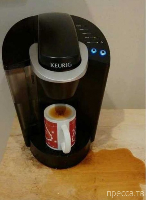 ���������� ����������: �� �������! (13 ����)