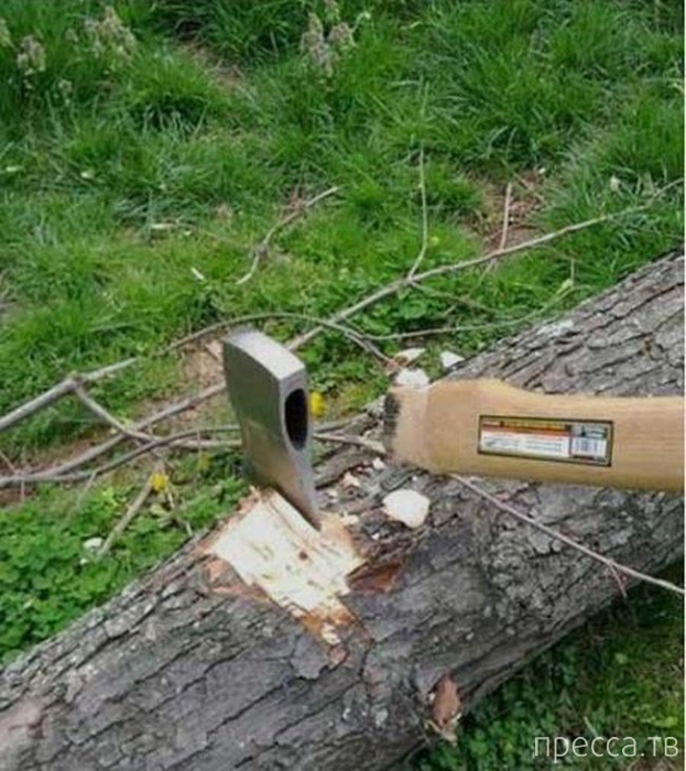 ���������� ����������: �� �������! (13 ����)