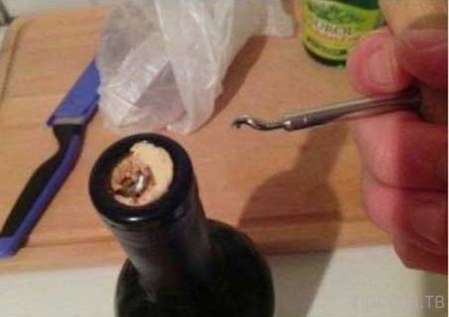 ���������� ����������: �� �������! (13 ����)