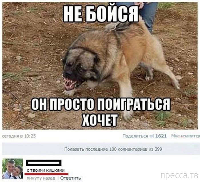 ���������� ����������� �� ���������� �����, ����� 65 (35 ����)