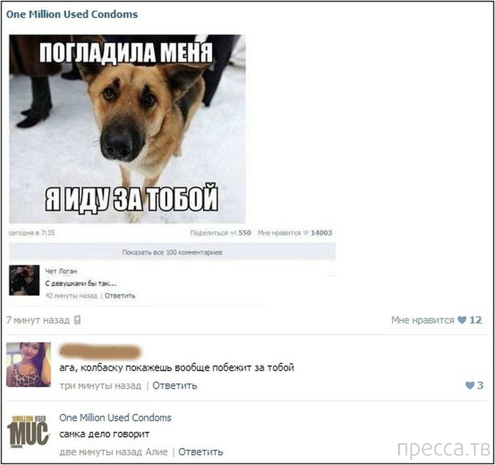 ���������� ����������� �� ���������� �����, ����� 65 (35 ����)