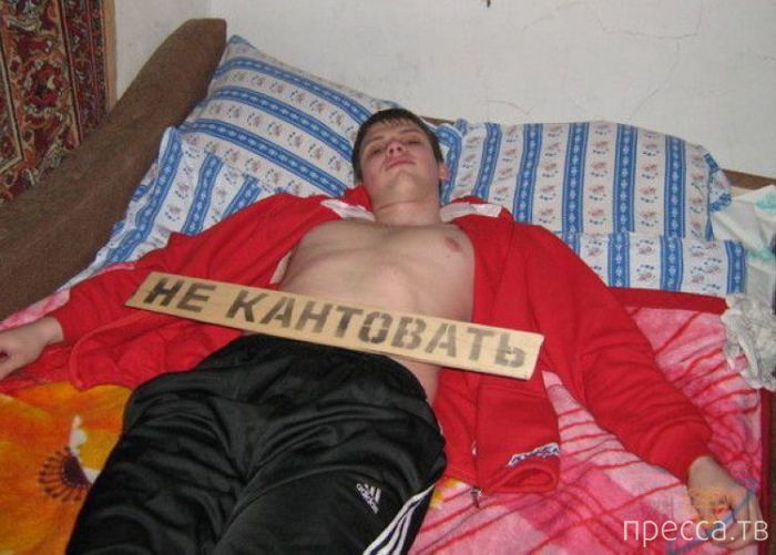 ����� �� ���������� ����� (31 ����)