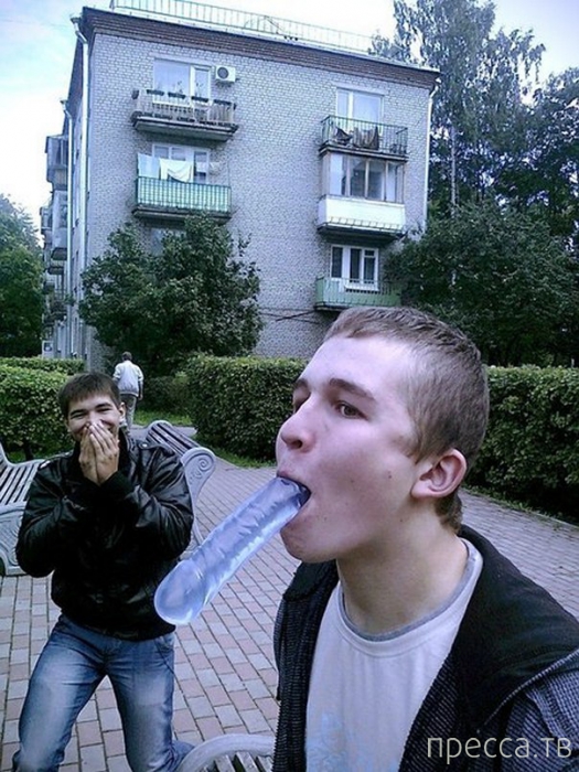 ����� �� ���������� ����� (31 ����)