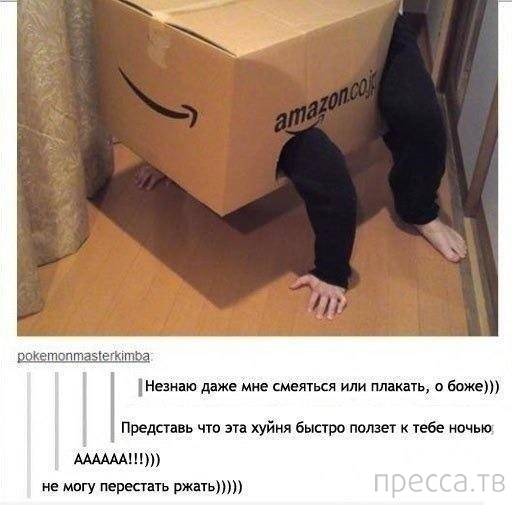 ���������� ����������� �� ���������� �����, ����� 67 (22 ����)