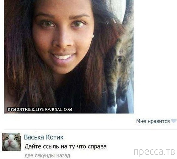 ���������� ����������� �� ���������� �����, ����� 67 (22 ����)