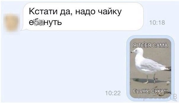 ���������� ����������� �� ���������� �����, ����� 67 (22 ����)