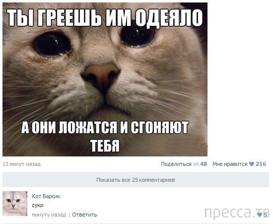 ���������� ����������� �� ���������� �����, ����� 68 (36 ����)