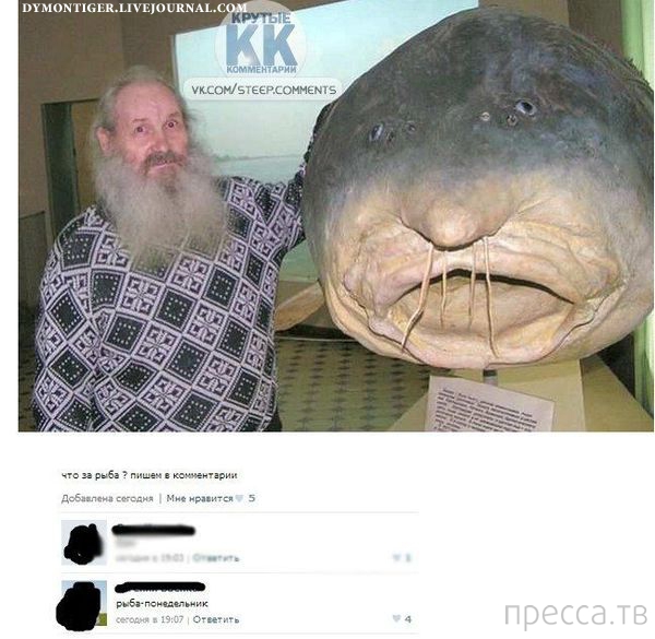 ���������� ����������� �� ���������� �����, ����� 68 (36 ����)