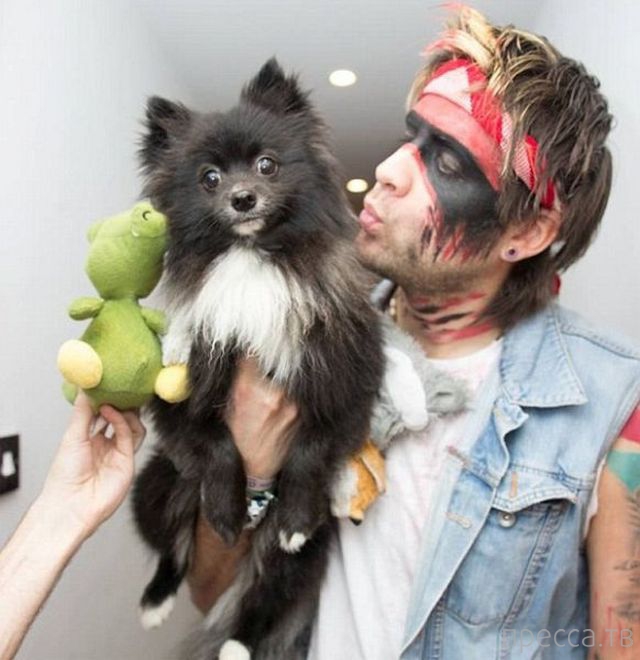 ��������� �������� ������ �� ���������� ����� (16 ����)