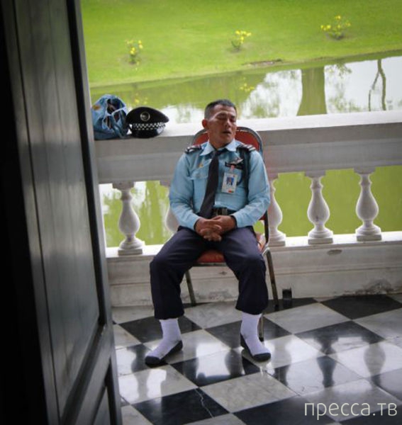 ���������� ���������� �� �����: "� ����� ���� ������" (31 ����)