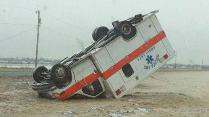 ���������� ���������� �� �����: "� ����� ���� ������" (31 ����)