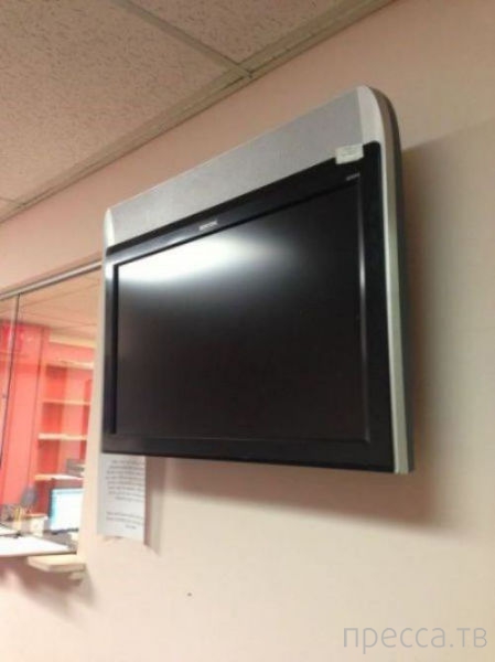 ���������� ���������� �� �����: "� ����� ���� ������" (31 ����)