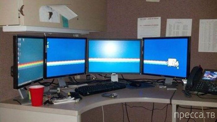 ���������� ���������� �� �����: "� ����� ���� ������" (31 ����)