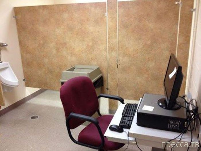 ���������� ���������� �� �����: "� ����� ���� ������" (31 ����)